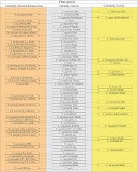 Image result for Cassia agnes