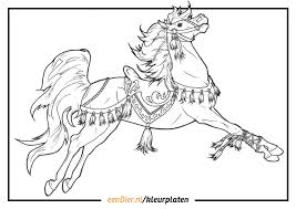 Bekijk hier dan onze hele verzameling kleurplaten paarden, print ze snel uit en geef ze de kleuren die jij wilt. Kleurplaat Paard Download Gratis Paarden Kleurplaten Eendier Nl