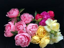 From bartholomew's 'a selection of flowers adapted principally for students', published in london by r. 62fprwtntxmbmm