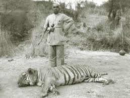 Tiger – A Living Heritage of India ...