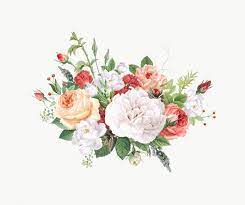 Vintage Colorful Flowers Design Transparent Png Premium Image By Rawpixel Com Por Piangpor Flower Design Vector Flower Illustration Floral Design
