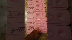 Dollar Tree Assure Pregnancy Test Line Progression Hcg From 3 Weeks Pregnant To 5 Weeks Pregnant Youtube
