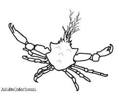 Make a coloring book with plant kelp for one click. Crab Coloring Page Cantankerous Crustaceans