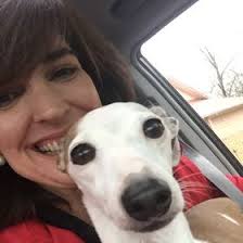 Susan Cheney (susanccheney)