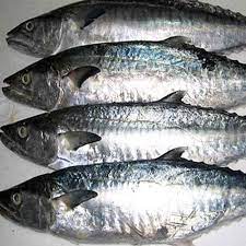 Basa King Fish Cost 288 King Mackerel Fish Restaurant Fish