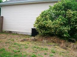 902 Linden St, Webb City, MO 64870