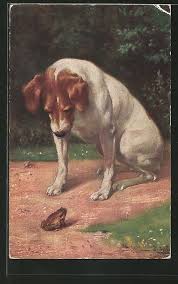 Dog And Frog Hundekunst Hund Portraits Hunde Gemalde
