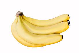 The banana grown as a house plant is almost always a dwarf cavendish, which is compact and if you own a dwarf cavendish or have a curiously about buying one then you will already know they. Cavendish Banana Wikipedia