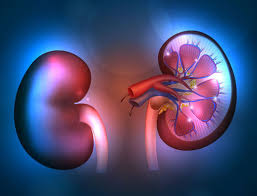 The medical term for this is hyperuricemia. Sedna Rss Duter 31 248 248