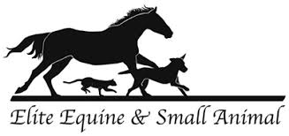 Veterinarian In Springtown Tx Elite Equine Small Animal