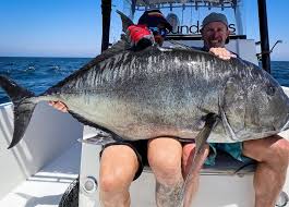 Now Available. #100 Ed Nicholas: No boundaries Oman. 🏴‍☠️