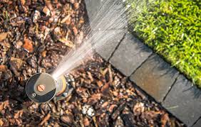 How to tell if you've watered enough Lawn Garden Irrigation Tips