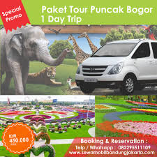 We did not find results for: Paket Bogor Sewa Mobil Bandung Jakarta Www Sewamobilband Flickr