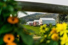 Historic Hat Creek To Mcabee Fossil Site To Logan Lake Gold Rush Trail