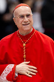 L'auteur dénonce les liaisons dangereuses entre sexe et argent, divulguant ainsi le scandale qui a entaché le vatican. Des Intrigues Nourries Par Une Camarilla Gay