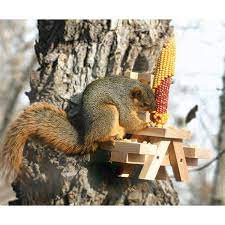 Vind fantastische aanbiedingen voor corn holder. Picnic Table Feeder For Squirrels With Corn Holder American Heritage Industries Squirrel Picnic Table Squirrels Backyard Birding Wildlife Guardebem Com