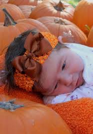 Southern Life Photography