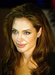 Angelina Jolie Hairstyles Celebrity Hairstyles Angelina Jolie Hair Angelina Jolie Photos Blow Dry Hair Straight