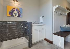 How To Build A Diy Dog Wash Station