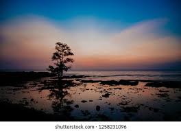 Kami adalah pasangan yang unik karena:*kami adalah pasan. Sunset Laguna Beach Carita Pantai Laguna Stock Photo Edit Now 1258231096
