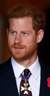 Prince harry speaks during his service with the british army. Prince Harry Imdb