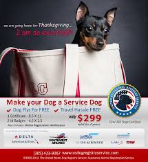 How do you make your dog a service dog. U S Dog Registry On Twitter Make Your Dog A Service Dog Today Travel Hassle Free Dogs Ilovedogs Servicedogs Flywithyourdog Http T Co Osgllnyuog