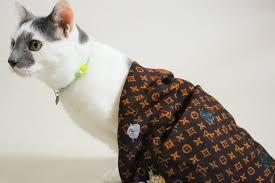 The illustrations that decorate this collection depict grace's dear persian cats, pumpkin and blanket, as well as nicolas ghesquière's. Whisker Fabulous Absolutely Fabulous The Louis Vuitton Catogram Collection