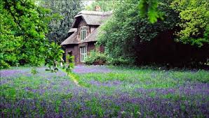 Common Bluebell Cottage Kew Gardens By Christine Matthews Via Wikimedia Commons Country Cottage Garden Kew Gardens Woodlands Cottage