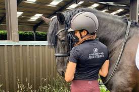 dressage training older horses Dressage Training for Older Horses