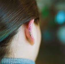 Pin On Baunty