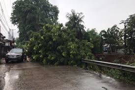 Ini Sebaran Titik Bencana Longsor Dan Banjir Di Depok