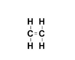 Covalent Bonds Flashcards Quizlet