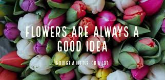 Little house of flowers maryland. Bowie Florist Flower Delivery By 73 Daisies