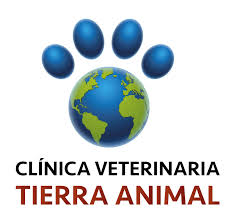 Clínica Veterinaria Tierra Animal