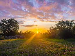 Brilliant Sunrise With Rays Of Light Hitting Wildflowers This Morning From My Bac Beautiful Nature Landscape Redding California Beautiful Landscape Photography