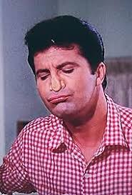 The Beverly Hillbillies" The Private Eye (TV Episode 1965)