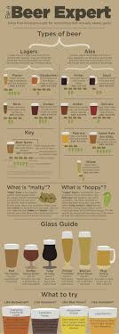 Infographic Provides Guidance For Non Craft Beer Drinkers Craft Beer Drinker Beer Types Beer Guide