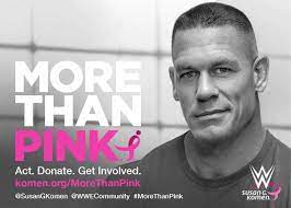 More Than Pink Twitter Party 10 6 16 7pm Et Wwemoms Wwe Wwe Wwe Pictures Pink Twitter