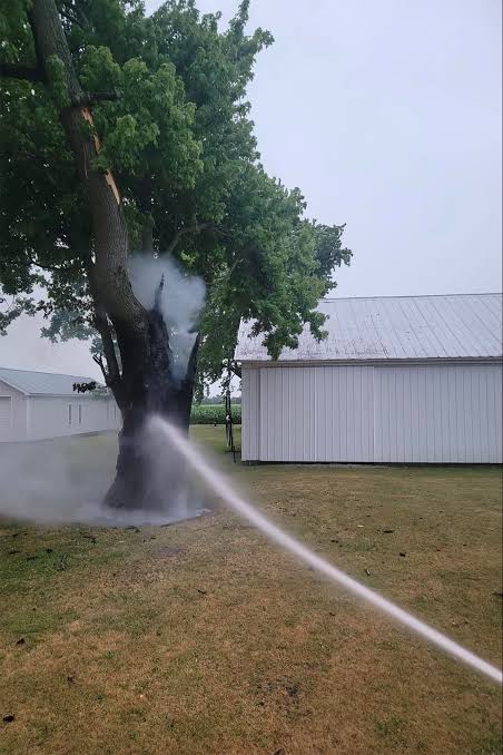 Ohio tree burns from inside after lightning strike