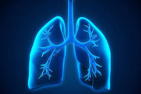 Image result for Emphysema