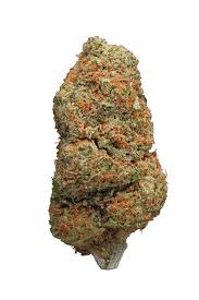 Infinite euphoria top cola week 4. Atomic Northern Lights Strain Hybrid Cannabis Review Cbd Thc Hytiva