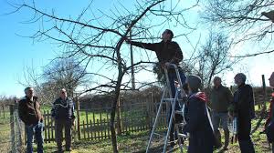 Le terrain est situé en zone natura 2000 et n'a pas été touché par les produits chimiques depuis plus de. Atelier Taille D Hiver Au Jardin Des Sens