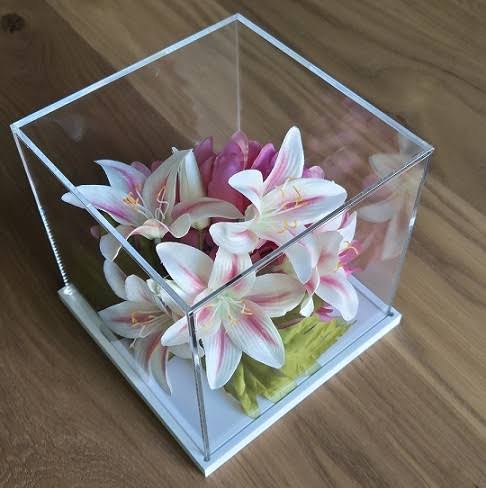 Plexiglas Stofkap 600x600x300mm - TotalShopDisplay
