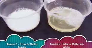 teste de gravidez caseiro da agua sanitaria que funciona aprovado teste de gravidez teste gravidez caseiro teste gravidez