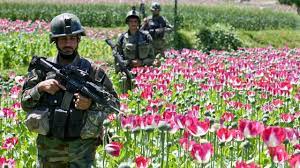 Check spelling or type a new query. Por Que Estados Unidos Perdio La Guerra Contra El Opio En Afganistan Tras Gastar Us 1 500 Millones Bbc News Mundo
