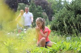 Linz campgrounds linz hostels linz spa resorts linz casinos linz family hotels linz luxury hotels romantic hotels popular neighborhoods. Linzer Landpartie