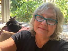 Cats' unusual sleeping habits and preferences