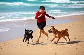 Do Dog Owners Live Longer? | American Heart Association