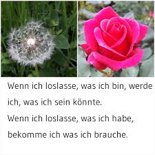 Zitat Lao Tse Gedichte Und Spruche Rosen Zitate Spruche