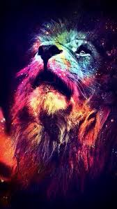 Rainbow Lion King Spirit Strength Lion Art Lion Wallpaper Animals